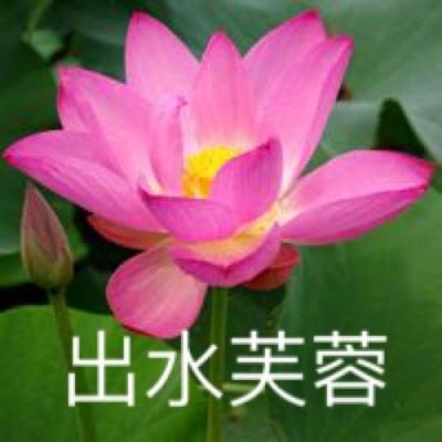 圣战迷失传奇最新版(暂未上线)v1.0.1 安卓版